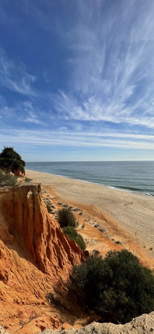 sea, coast, plants, hill, cliff, nature