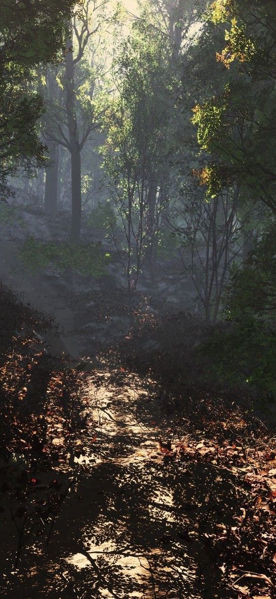 leaves, road, footpath, forest, shade