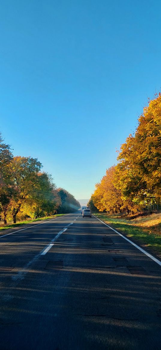 highway, road, autumn, trees, yellow, nature, travel