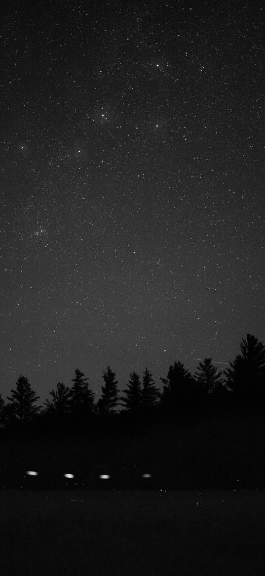 starry sky, constellation, cassiopeia, trees, night