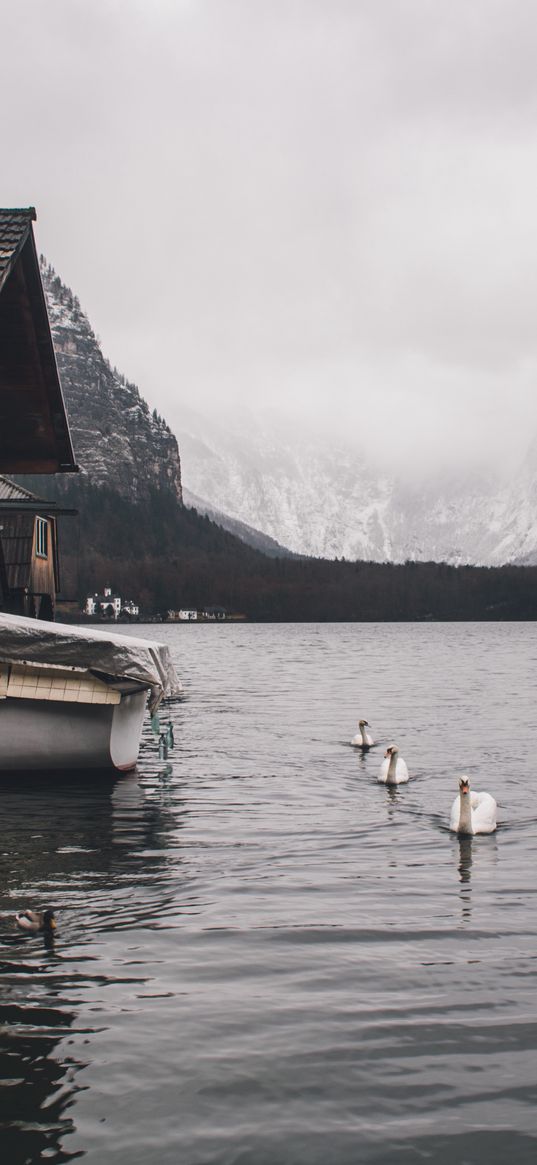 lake, swans, mountains, house, boat