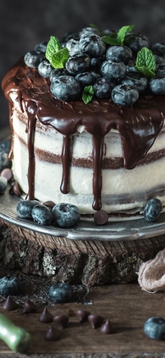 cake, blueberries, dessert, food