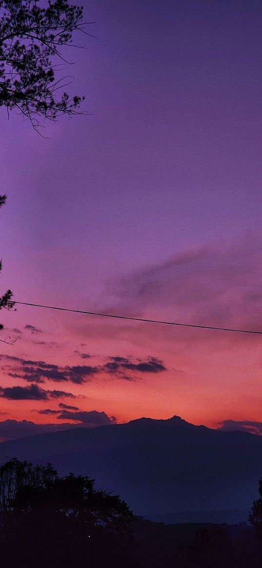 mountain, trees, wire, branches, sunset, orange, purple