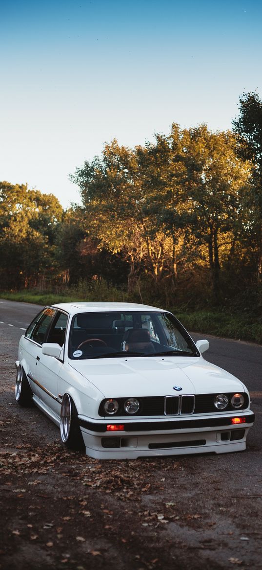 car, bmw, road, leaves, trees, white