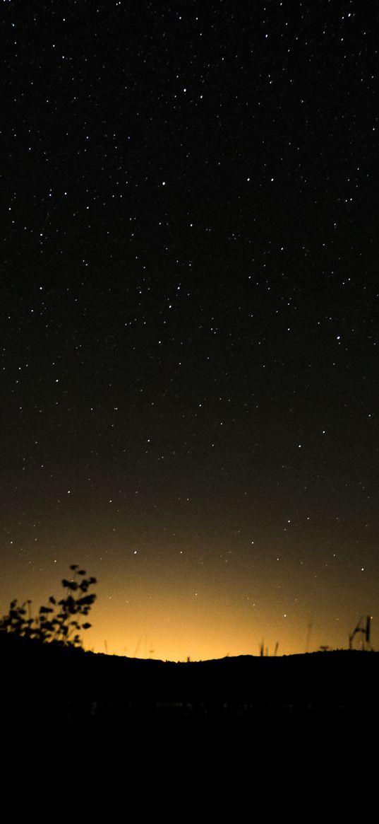 hill, plants, silhouettes, starry sky, night