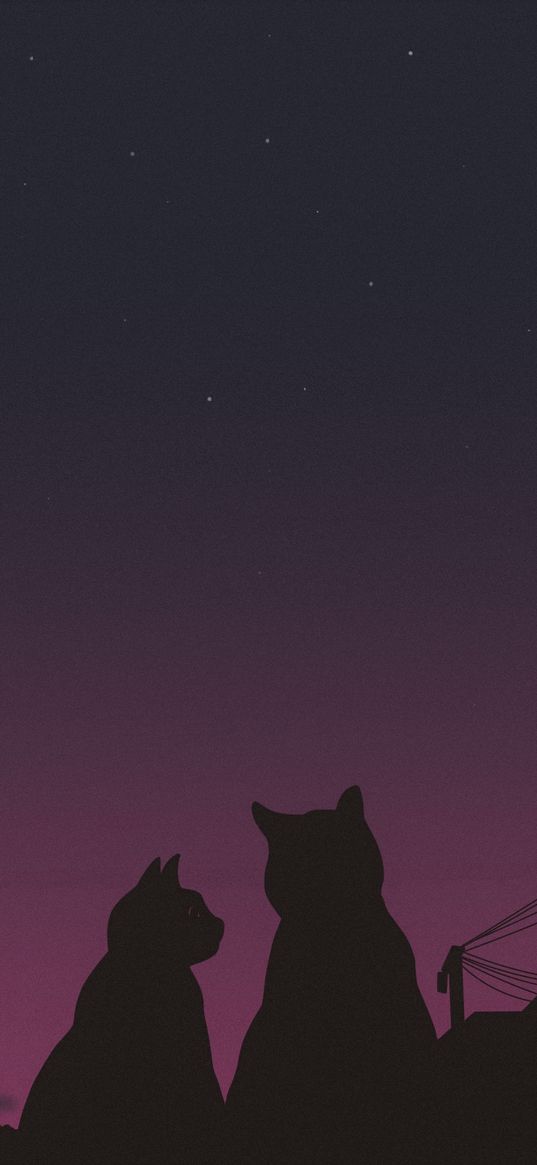 cat, love, sky, black, sunset, art, silhouette