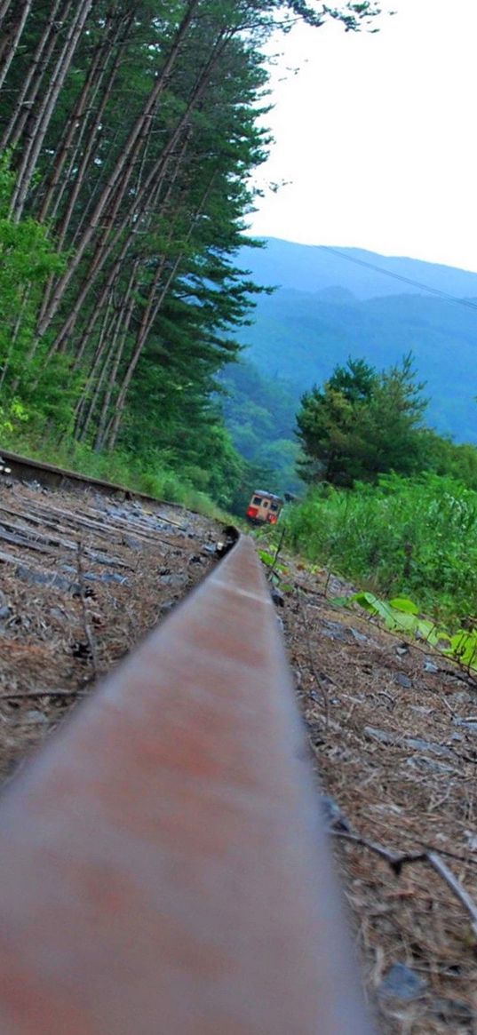 railroad, grass, train