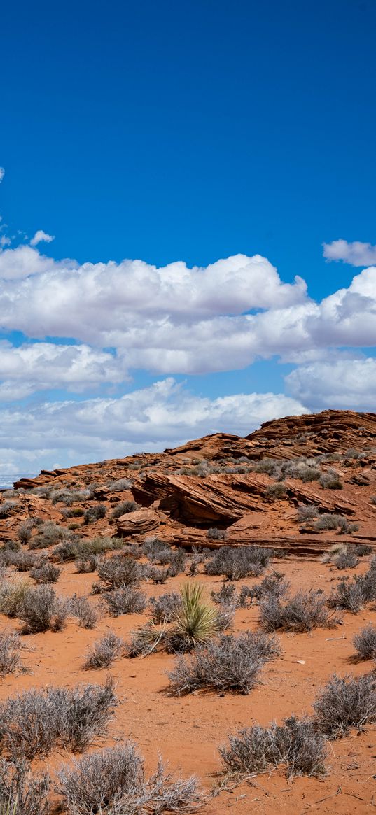 bushes, desert, stones, relief, clouds