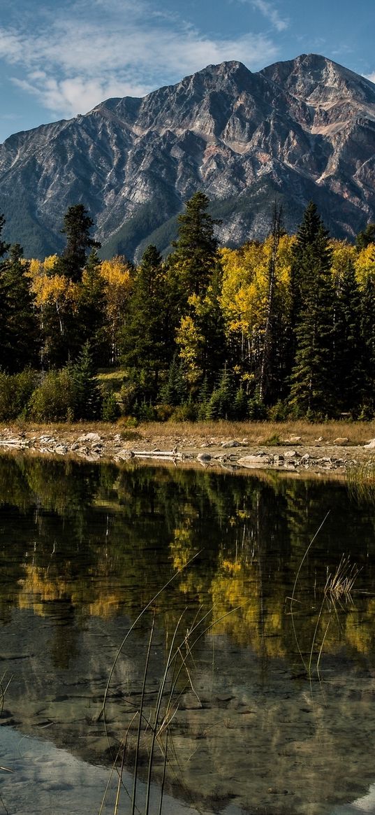 alberta, canada, mountains, lake, trees, reflection