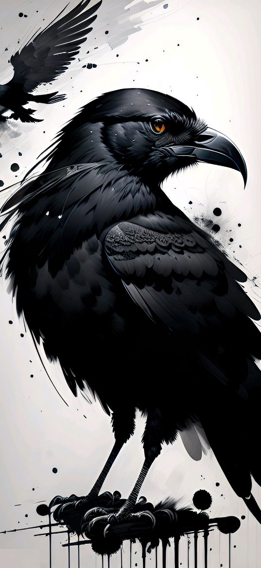 crow, spots, paint, black and white, art