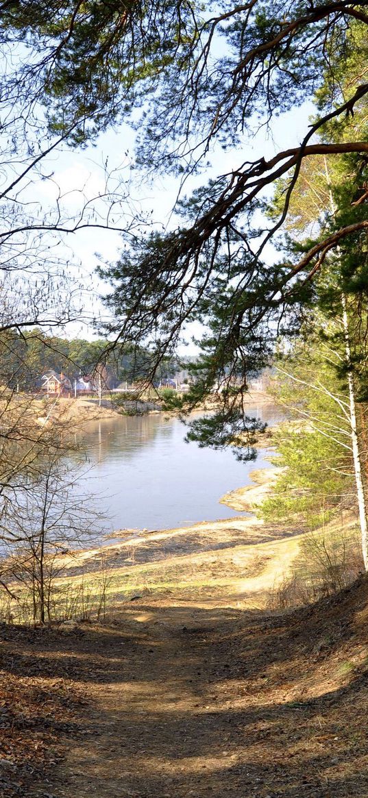 footpath, forest, trees, grass, river