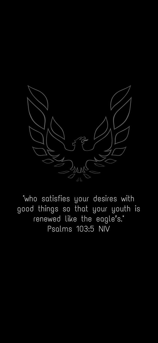 inscription, eagle, bible, verse, black, white