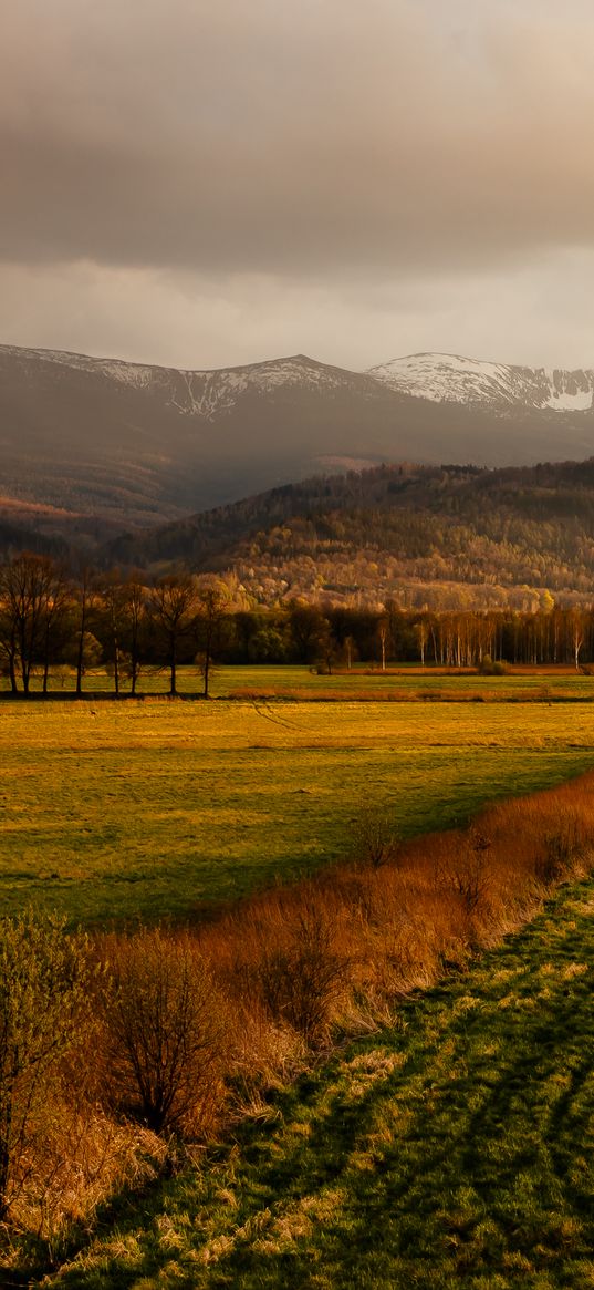 field, grass, mountains, hills, landscape