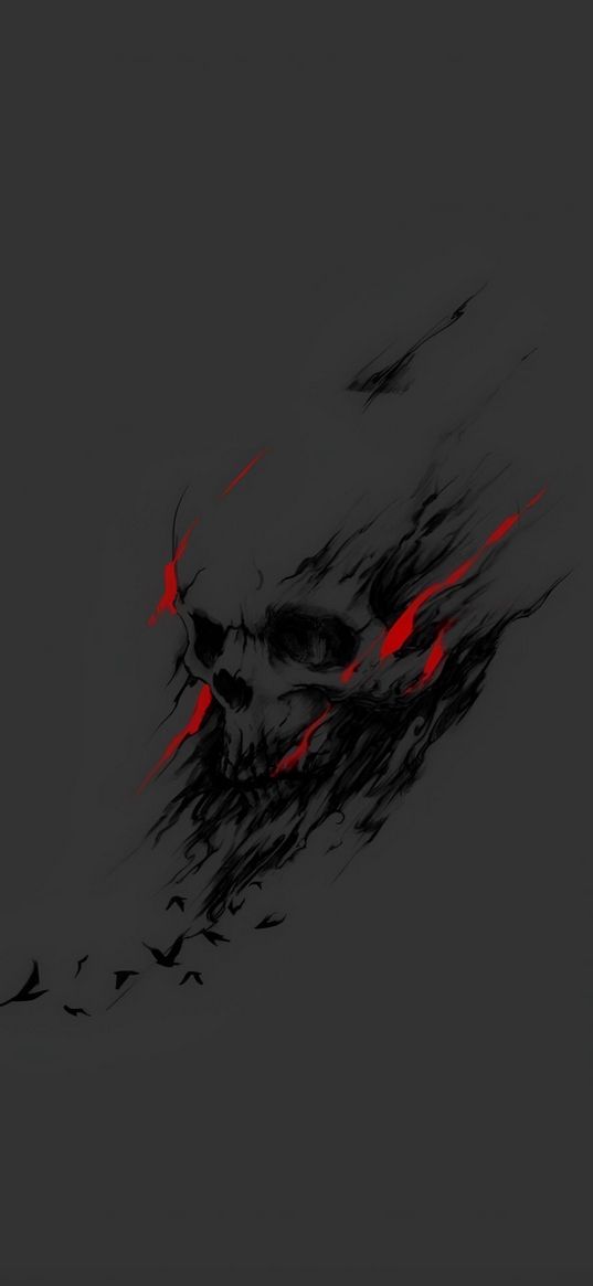 skull, lines, curves, red, grey, outline