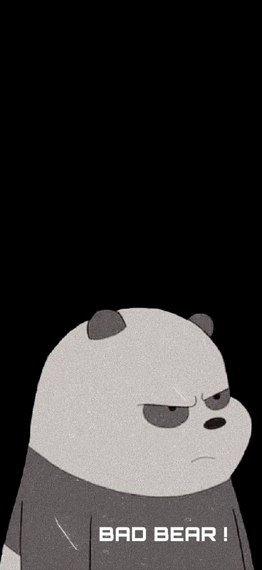 panda, bear, grey, inscription, black background, art