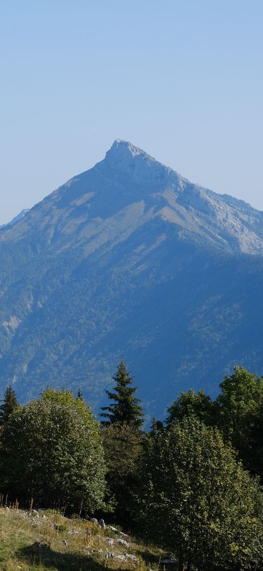 mountain, trees, hill, landscape