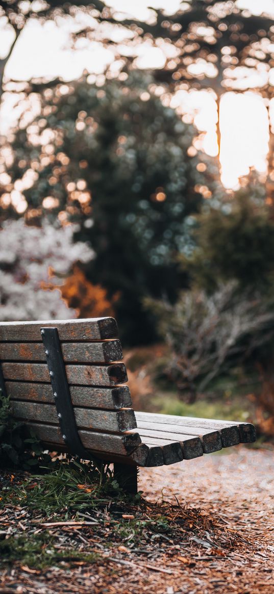 bench, path, trees, park