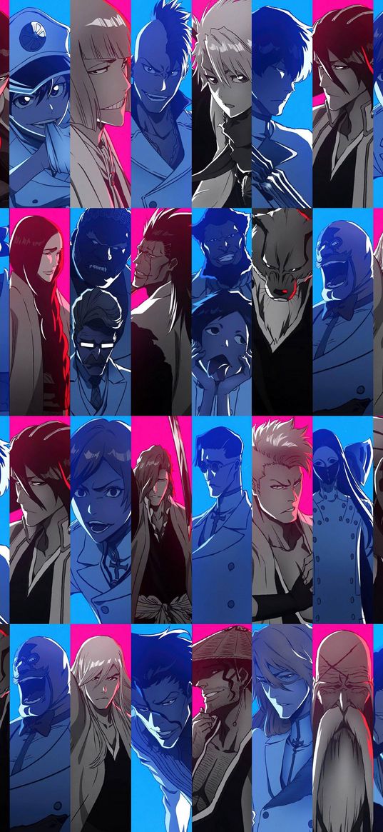 anime, bleach, blue, pink, shunsui, yamamoto, komamura