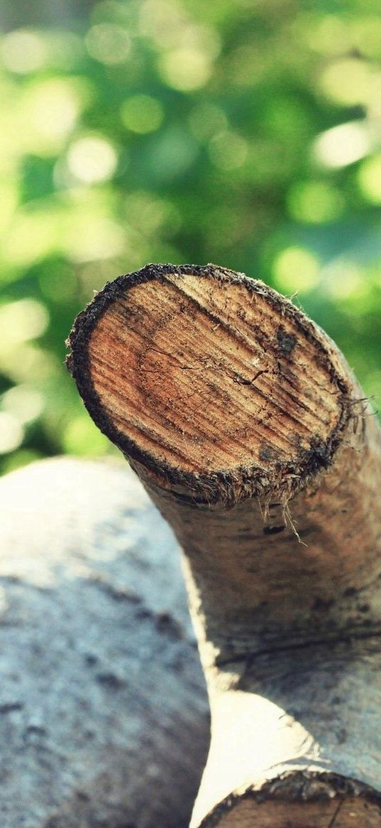 logs, summer, sticks, blurring