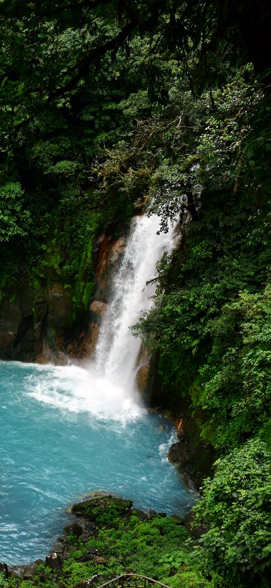 waterfall, lagoon, trees, jungle, landscape