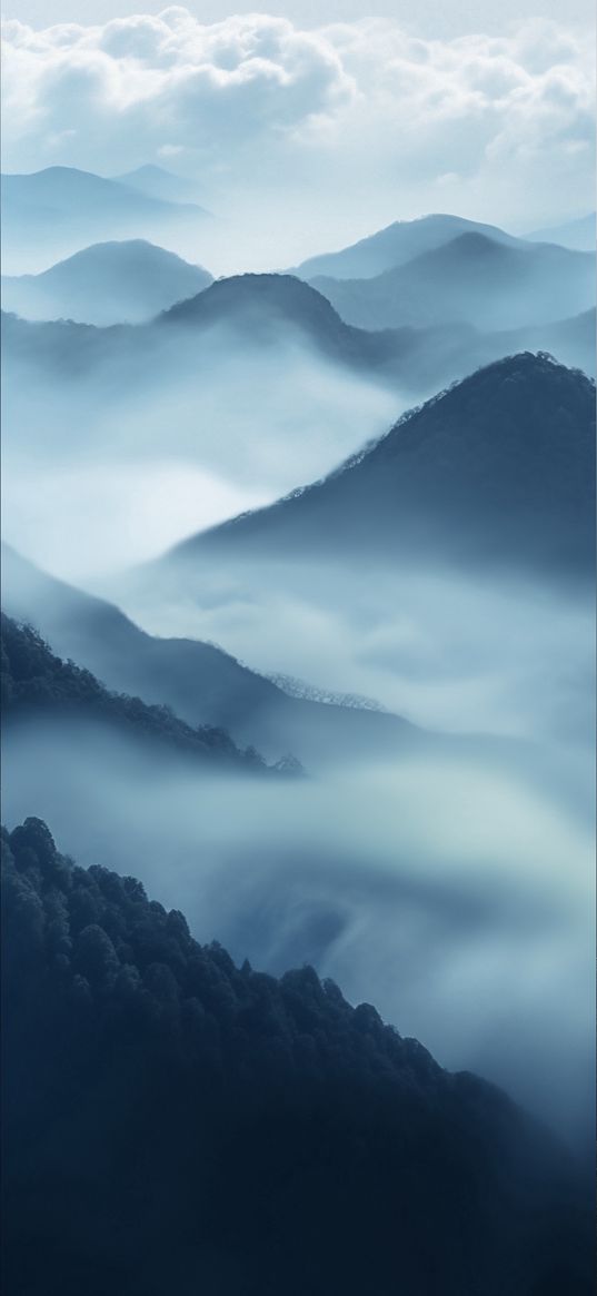 hills, mountains, trees, forest, fog, clouds, landscape, nature