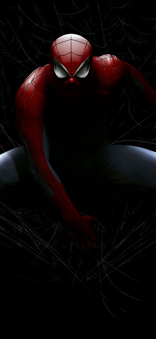 spiderman, spider-man, superhero, marvel, web, darkness, art