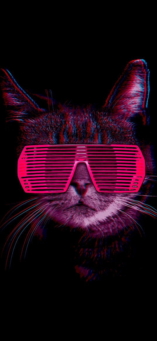 cat, glasses, cool, pink, 3d, art