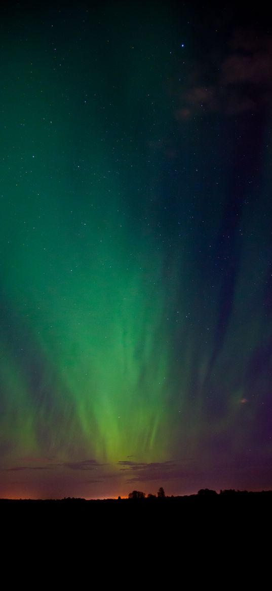 northern lights, night, trees, silhouettes