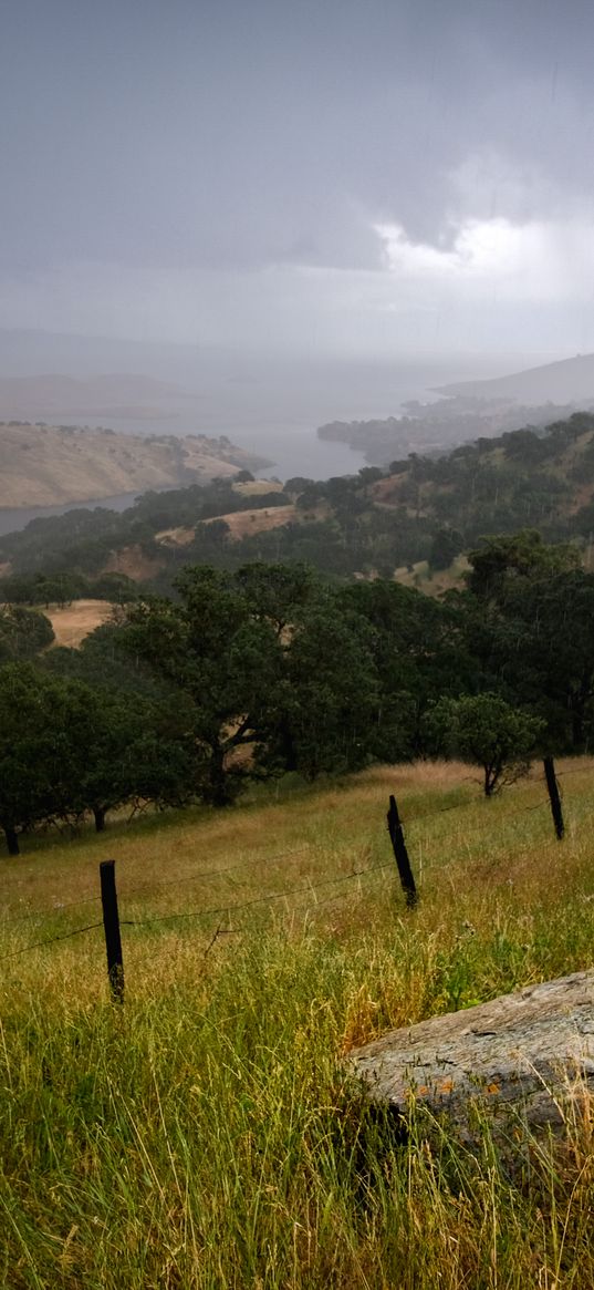 hills, slope, grass, trees, river, landscape