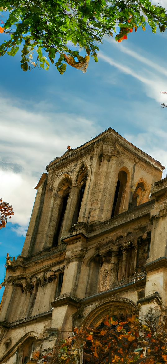 notre dame cathedral, france, architecture, landmark