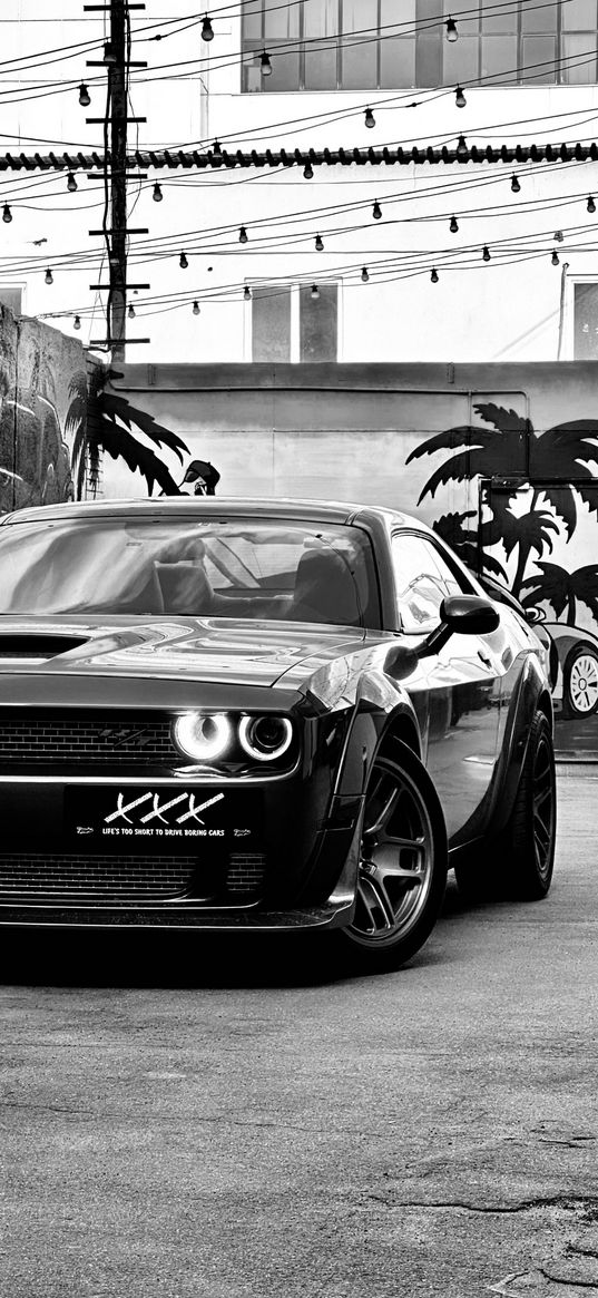 auto, car, challenger, black and white