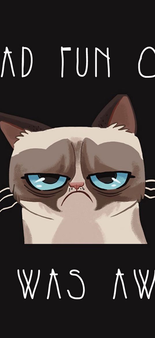 grumpy cat, cat, funny, sadness, grief