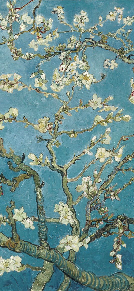 vincent van gogh, flowering branches of almonds, oil painting