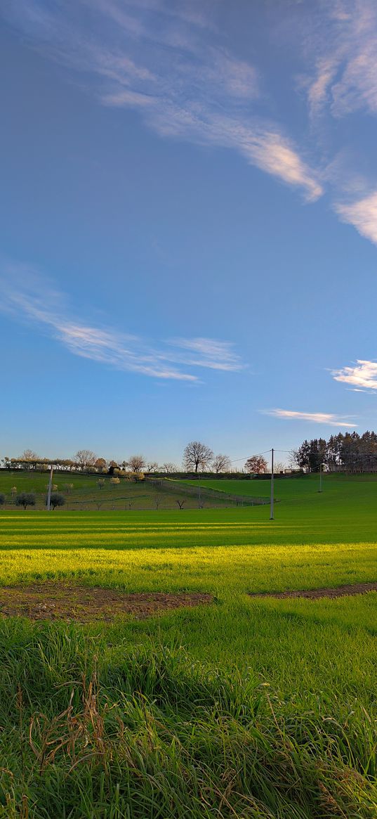 summer, nature, sky, field, green