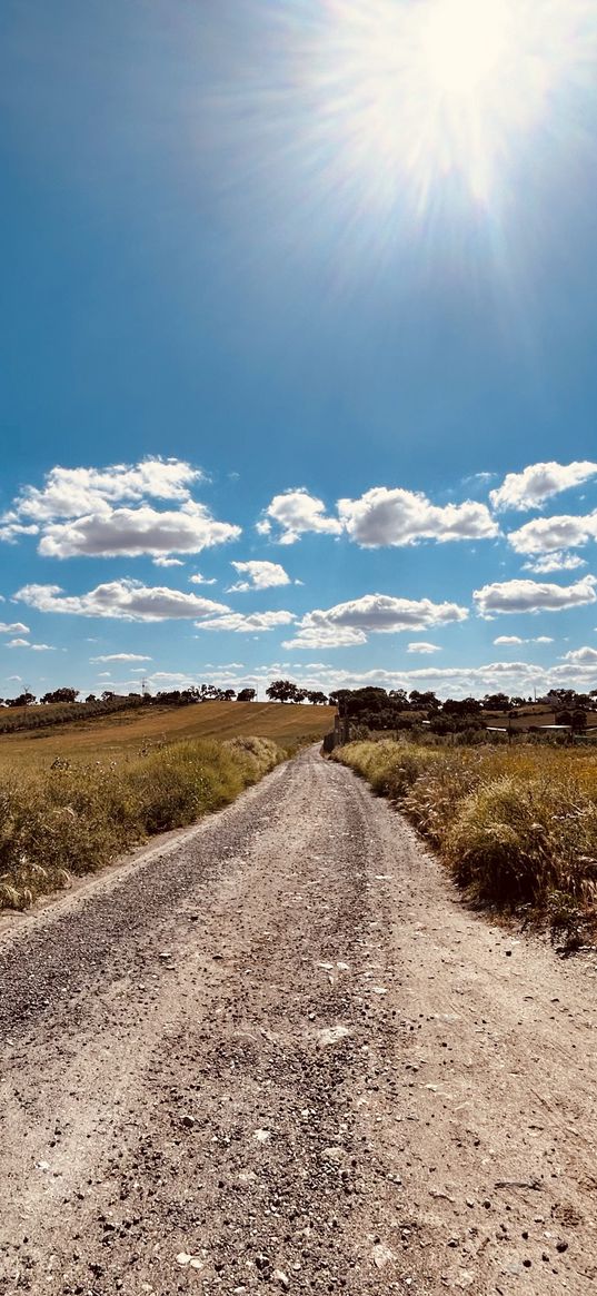 landscape, field, summer, road, sky