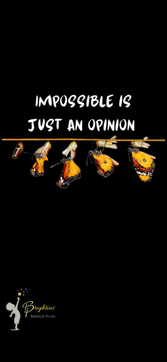 impossible, just an opinion, text, quote, motivation, butterfly, cocoon, transformation, art