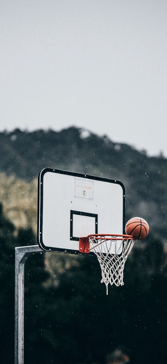 basketball basket, ball, basketball, drops, rain, nature