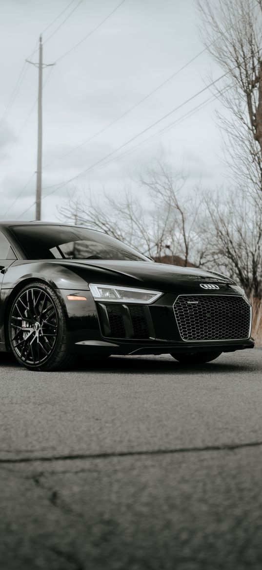 audi r8, audi, sports car, car, black, road, trees