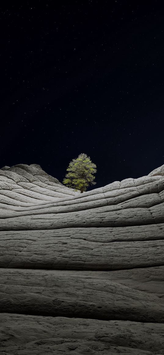 tree, rocks, mountain, sky, stars, night, nature