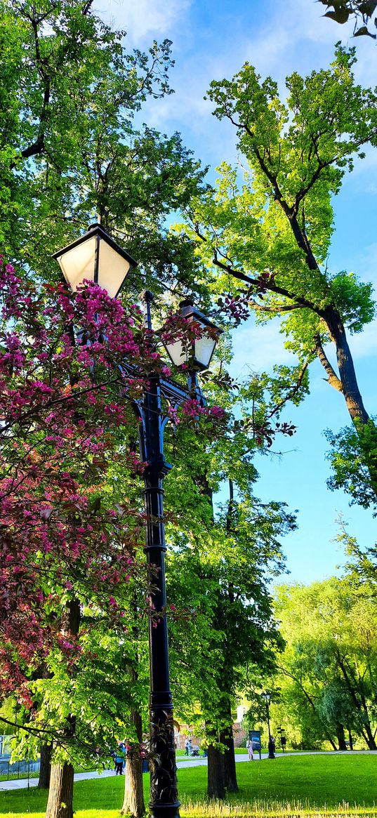 summer, greenery, park, nature, lantern