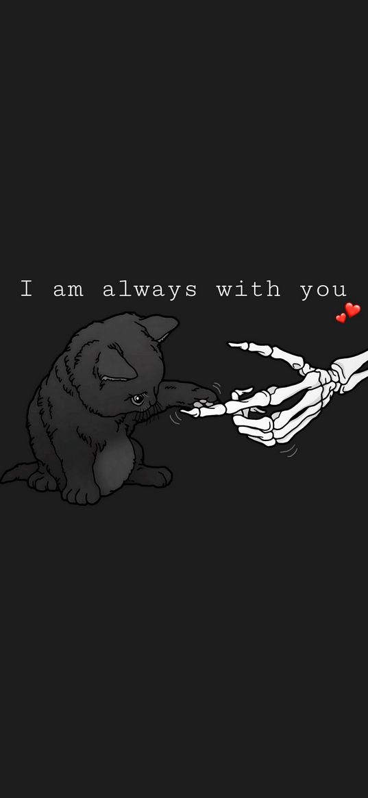 cat, hand, skeleton, text, quote, i am always with you, art