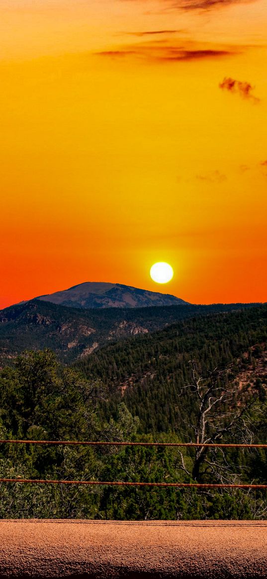 railings, trees, forest, hills, mountains, sun, sunset, clouds, sky, landscape, nature