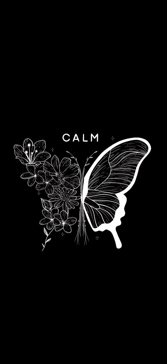 butterfly, flowers, plants, inscription, calm, white, black