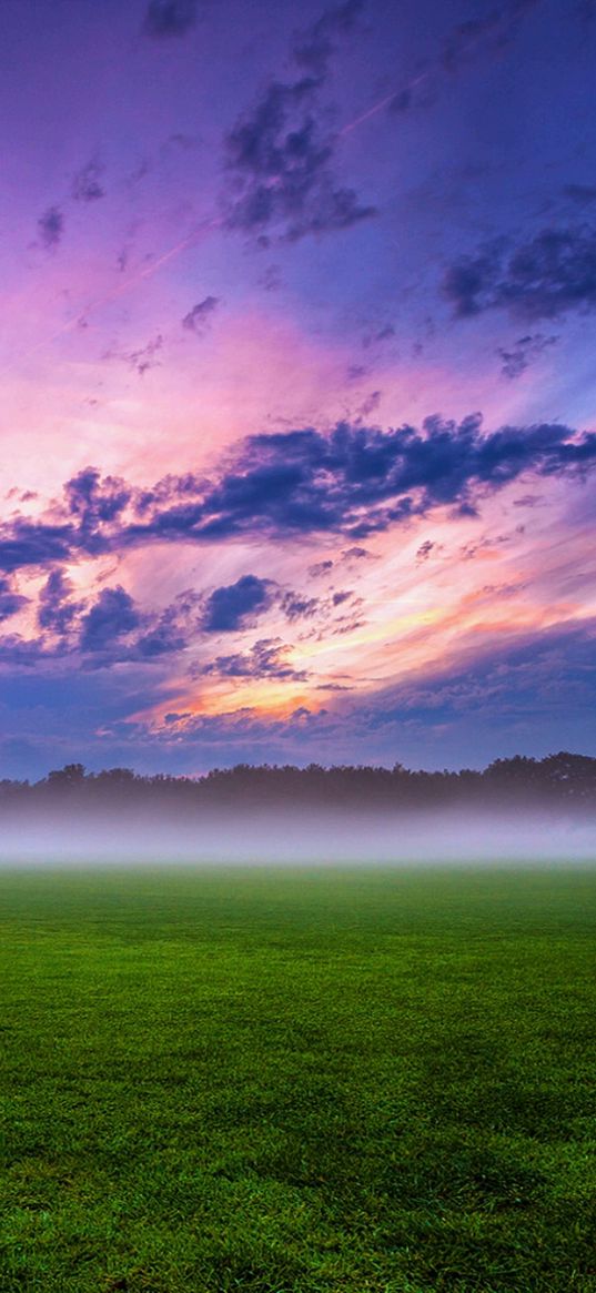 lilac sky, landscape, nature, sunset