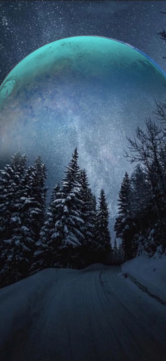 road, forest, moon, snow, winter, night, stars, sky, nature