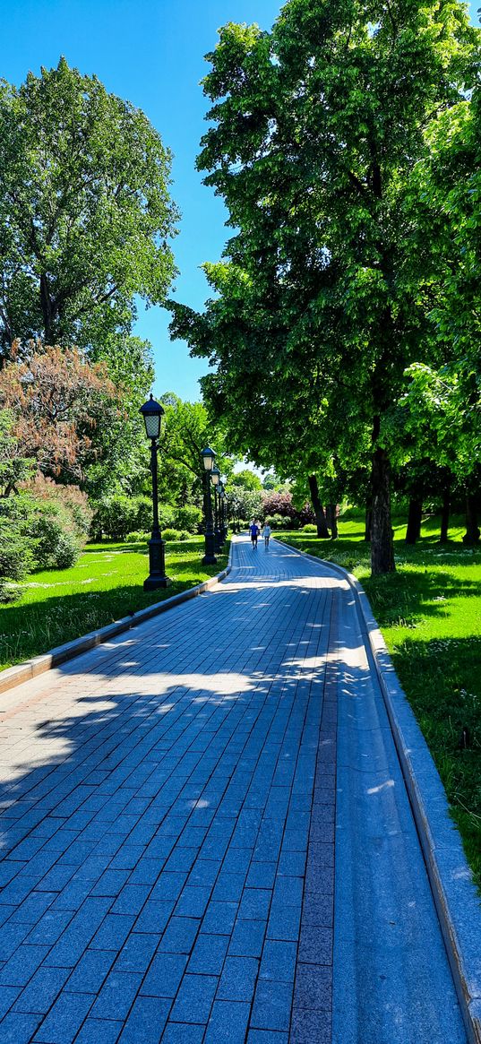 summer, park, greenery, beauty, nature