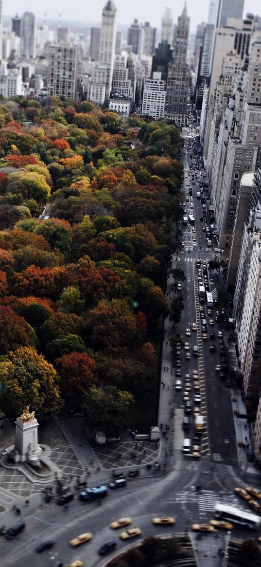 city, forest, nature