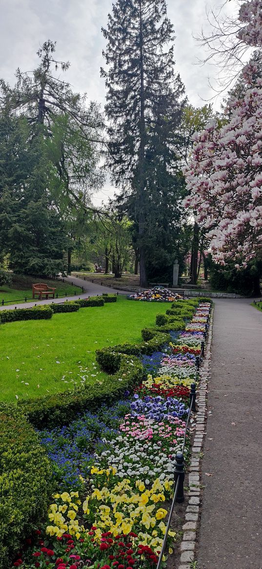 park, flowers, trees, green, spring