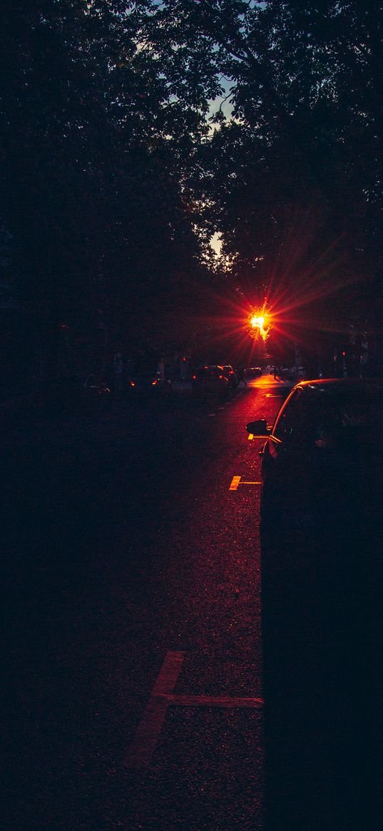 sunset, red, trees, car