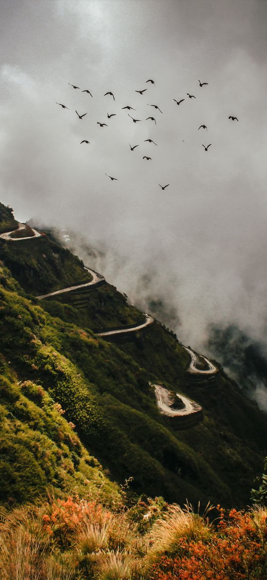 mountain, hill, slope, serpentine, plants, birds, smoke, nature